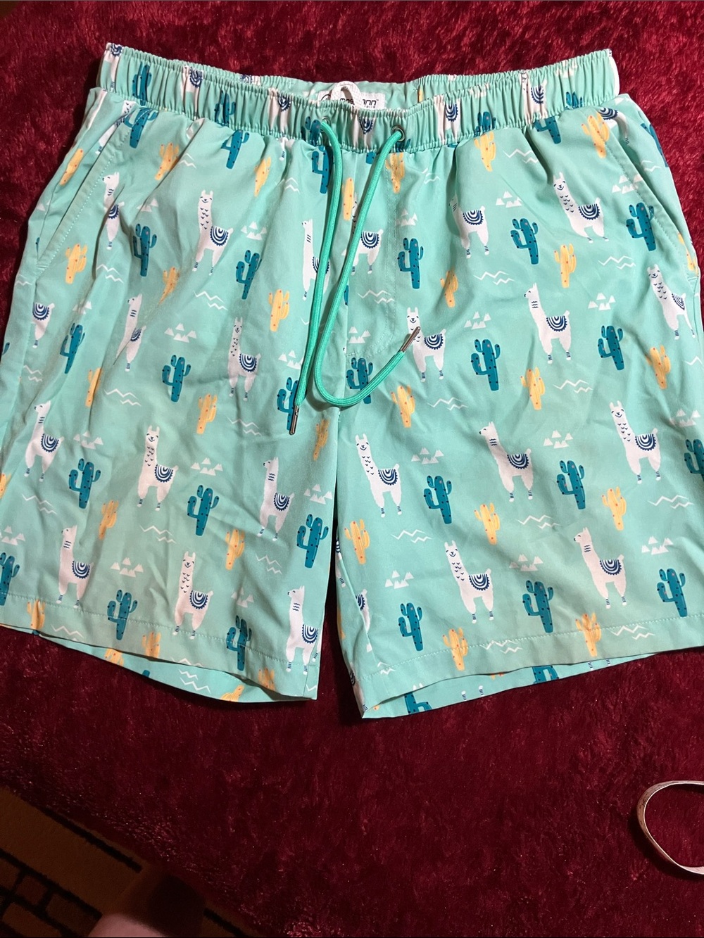 MOSSMAN AUSTRALIA MENS CACTUS LLAMA DRAWSTRING ELASTIC WAIST MESH  SWIM TRUNKS